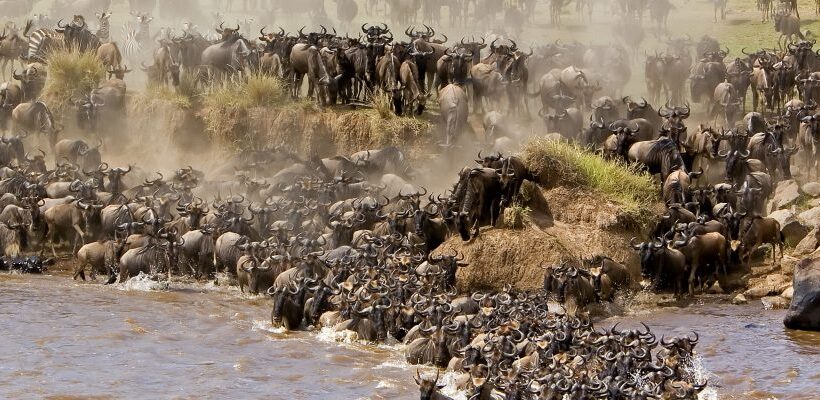 4 Days Lake Manyara | Ngorongoro | Tarangire Lodge Safaris