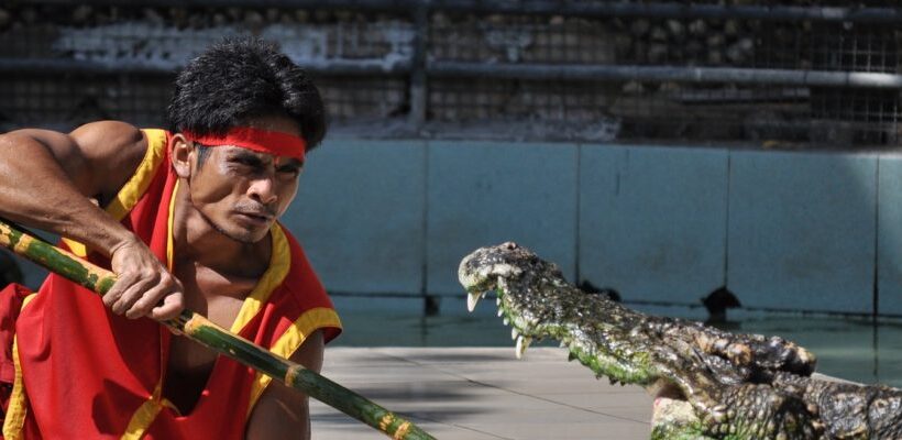 3Nights Pattaya and 2Nights Bangkok Getaway