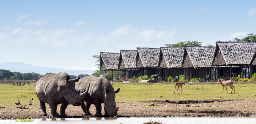 4 Days Getaway Mara | Nairobi National Park