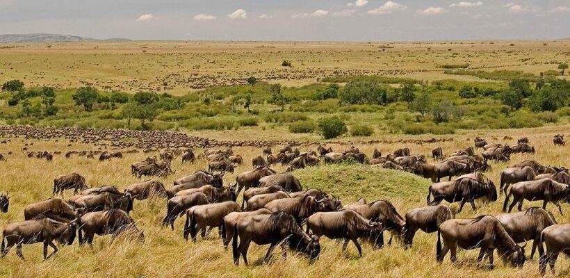 5 Days 4 Nights Magical Mara and Lake Nakuru