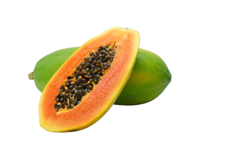 fruit-papaya-live