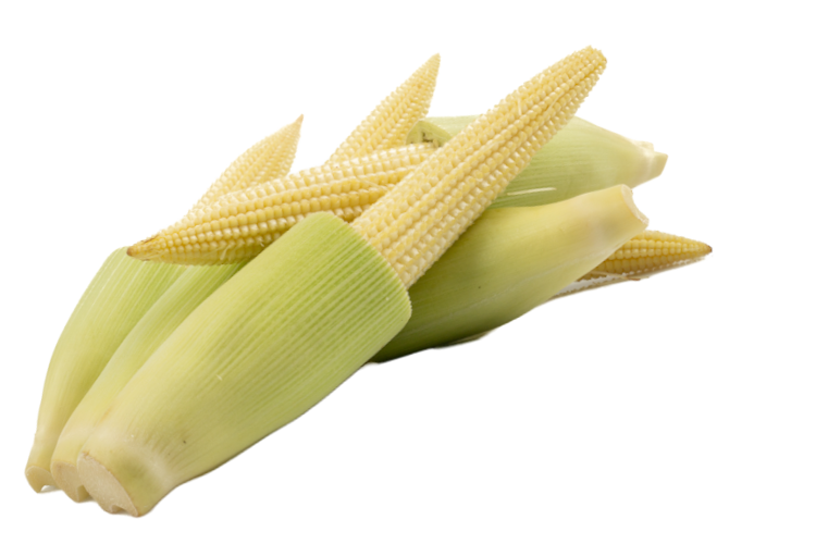 veggie-babycorn-live