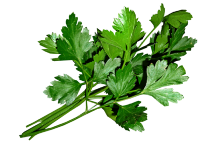 Parsley