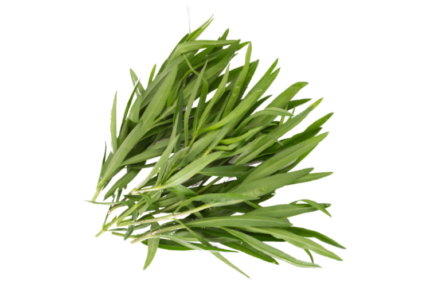 Tarragon