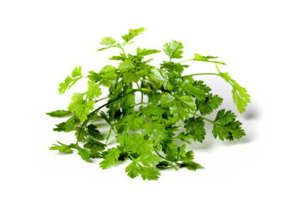 Chervil