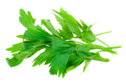 Lovage
