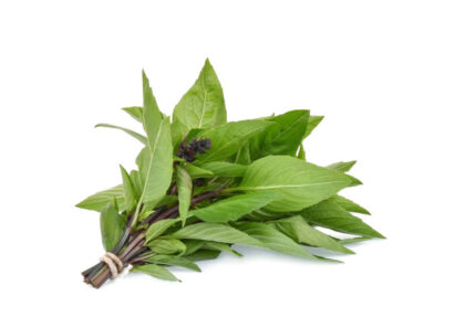 Thai Basil
