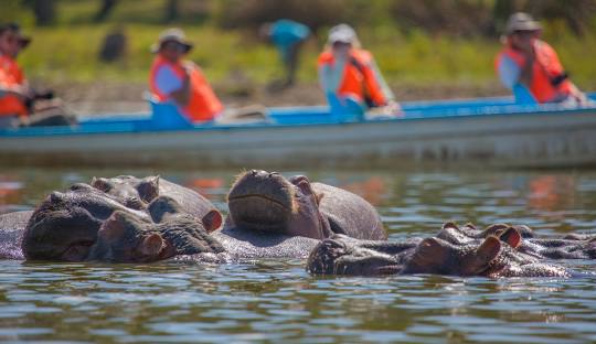 Boat Safari in Naivasha: The Complete Experience Guide​